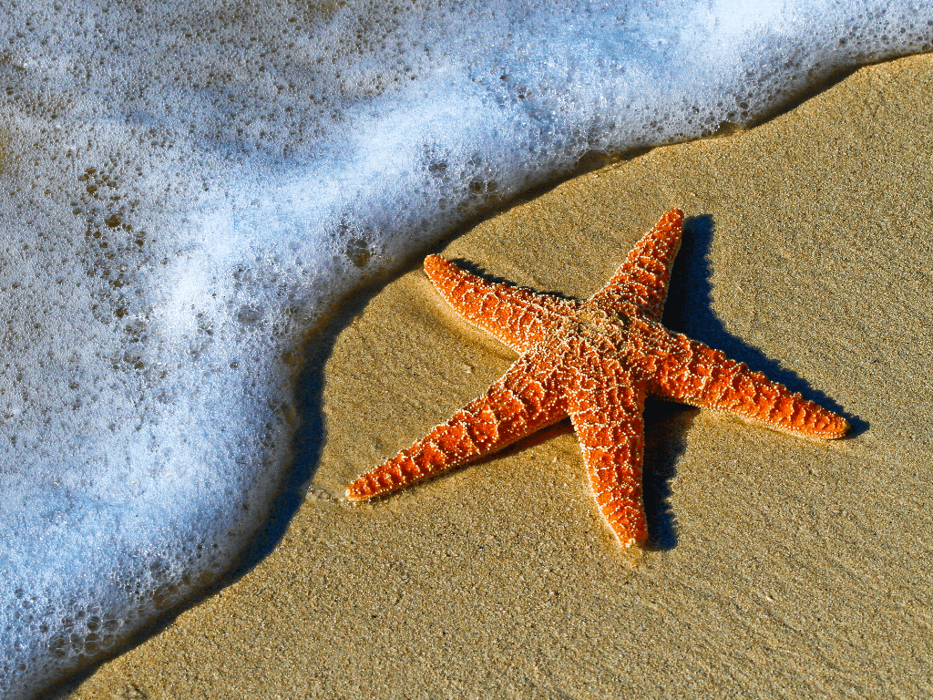 stella marina vacanze sostenibili