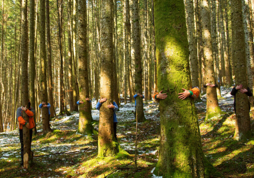 Forest bathing Val Tramontina Friuli experience stippelli