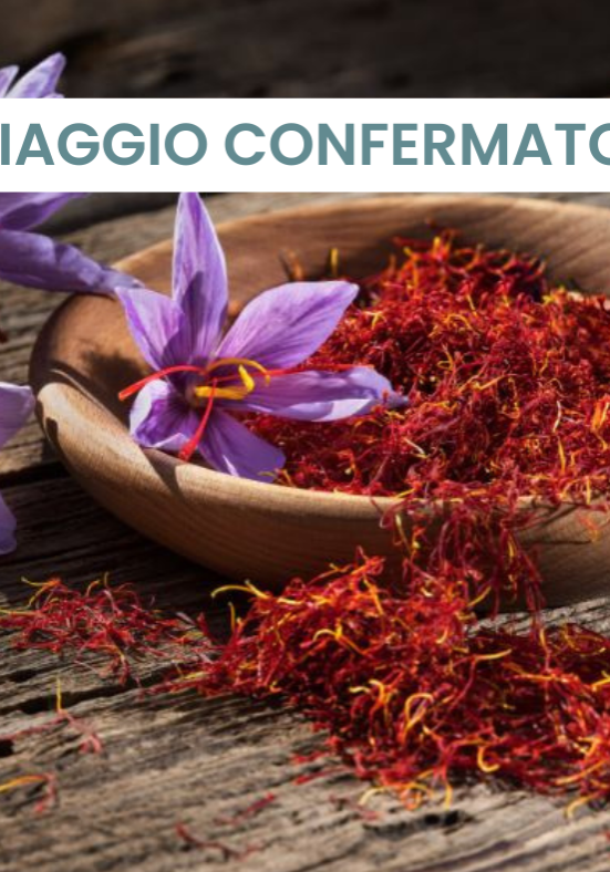 IMMAGINI PROGRAMMI VIAGGI (43)