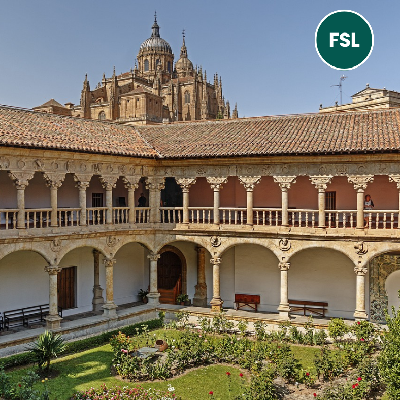 SALAMANCA - stage linguistici