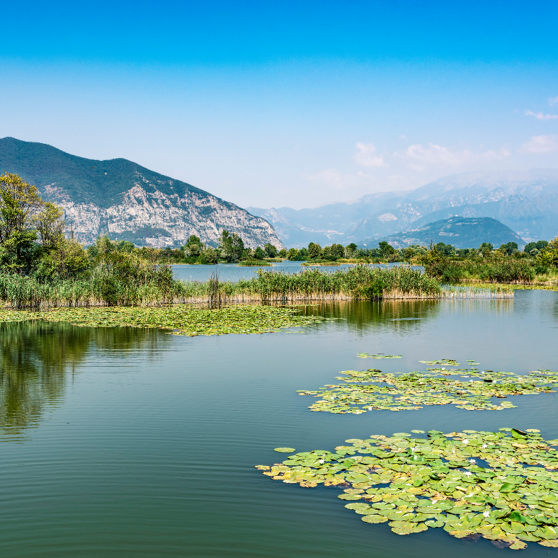 Gita alle Torbiere del Sebino e lago d'Iseo