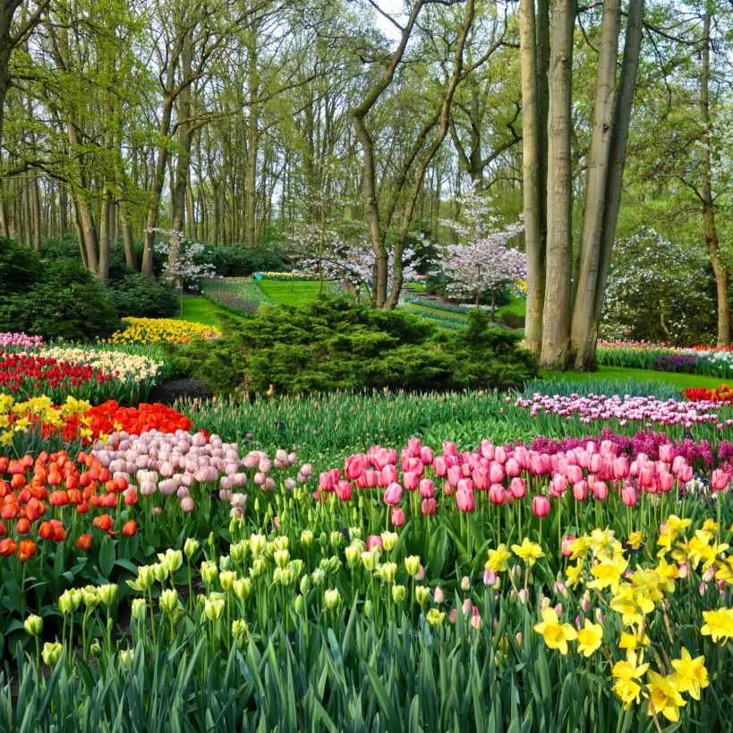 gita a Verona e Parco Sigurtà