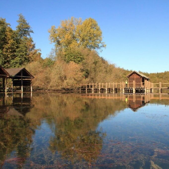 Lago di Viverone