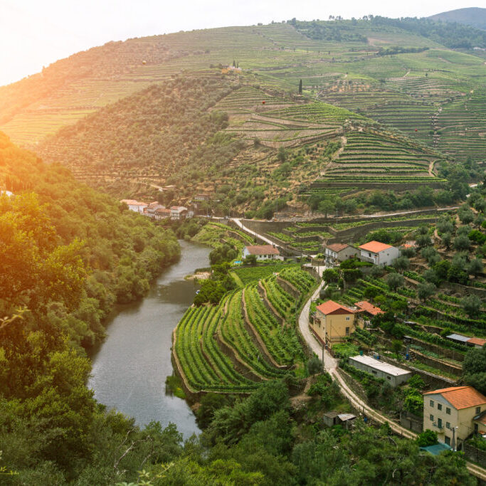 Viticoltura e Turismo tra Portogallo e Spagna
